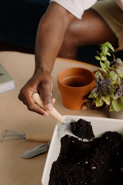 How to Start a Small Herb Garden Indoors: A Beginner’s Guide
